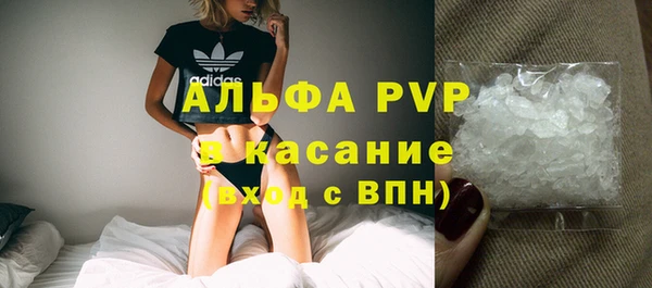 стафф Бородино