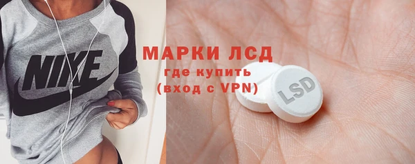 стафф Бородино