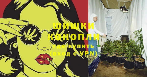 стафф Бородино