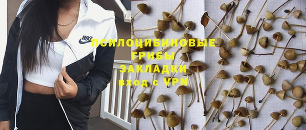 прущая мука Бронницы