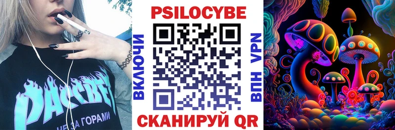 где продают   Семёнов  Галлюциногенные грибы Cubensis 